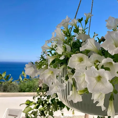 Bed & Breakfast Puerto Escondido Castro (Lecce)