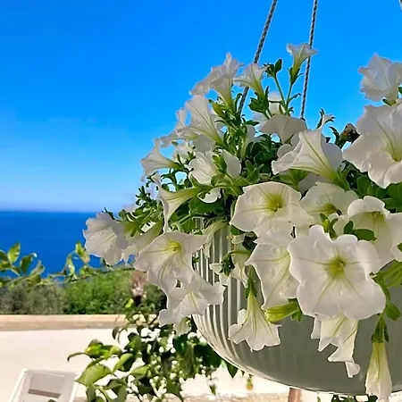 Bed & Breakfast Puerto Escondido